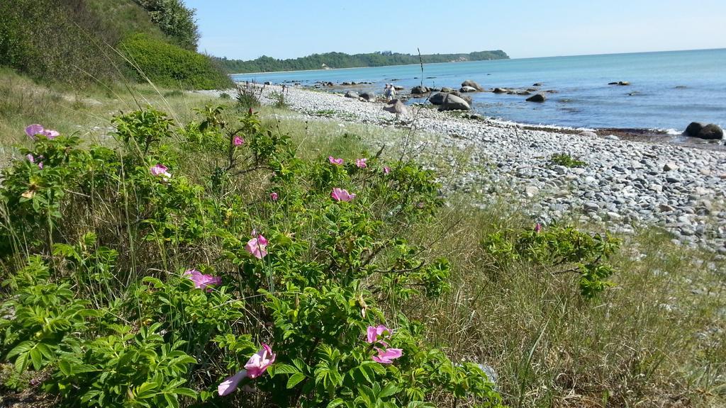 Ferienwohnungen Rügen Findling Breege Exterior foto