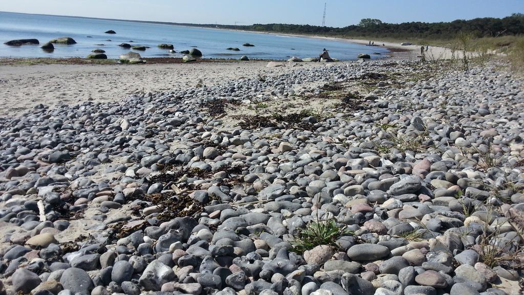 Ferienwohnungen Rügen Findling Breege Exterior foto