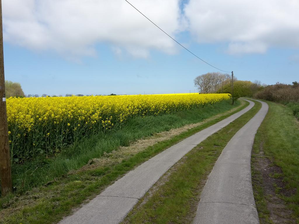 Ferienwohnungen Rügen Findling Breege Exterior foto